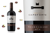 Negroamaro: three curiosities that you may not know about the red of Salento.