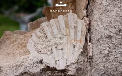 Masseria Capoforte, wo die Geschichte herrscht