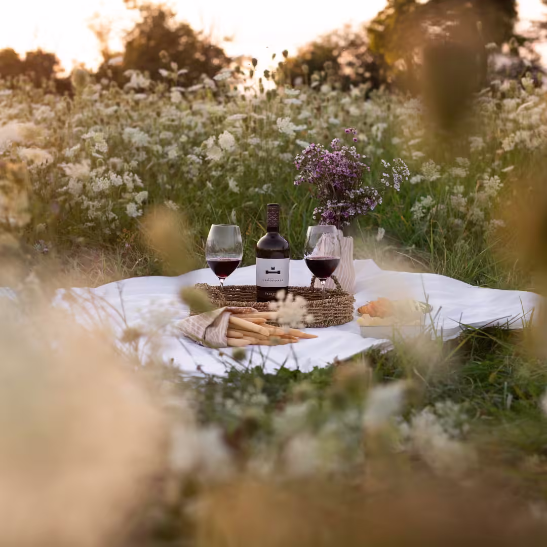 Masseria Capoforte Emozione Primitivo Salento Indicazione Geografica Tipica 1080x1350