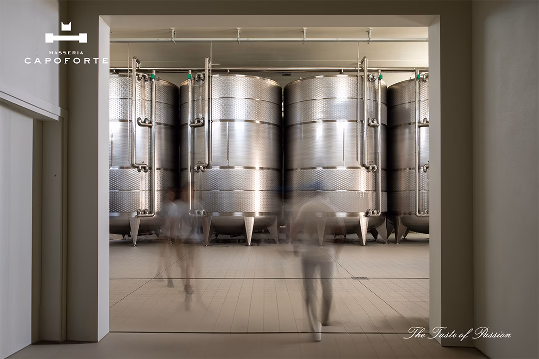 Masseria Capoforte il lavoro in cantina 1080x720